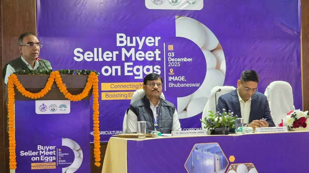 sp-announces-first-list-of-16-lok-sabha-candidates-for-up