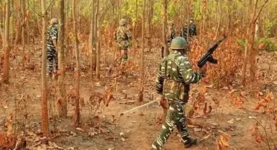 simple--effective-guide-to-rewire-your-diet-postholidays