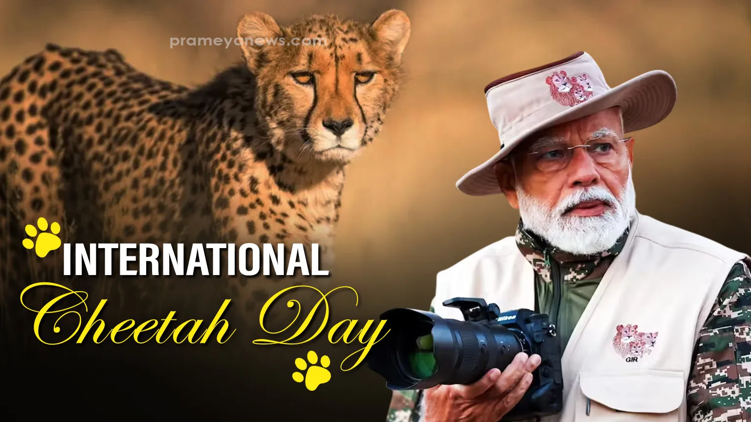 International Cheetah Day: PM Modi Praises Project Cheetah Success as Population Thrives in Kuno