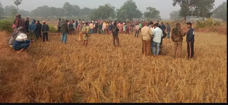 odisha-government-announces-50-percent-bonus-for-kendu-leaf-pluckers