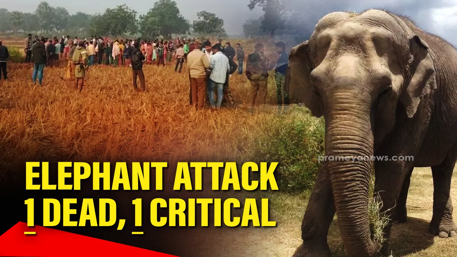 ipl-versus-bigg-boss-cricket-wins-the-ratings-game-for-now