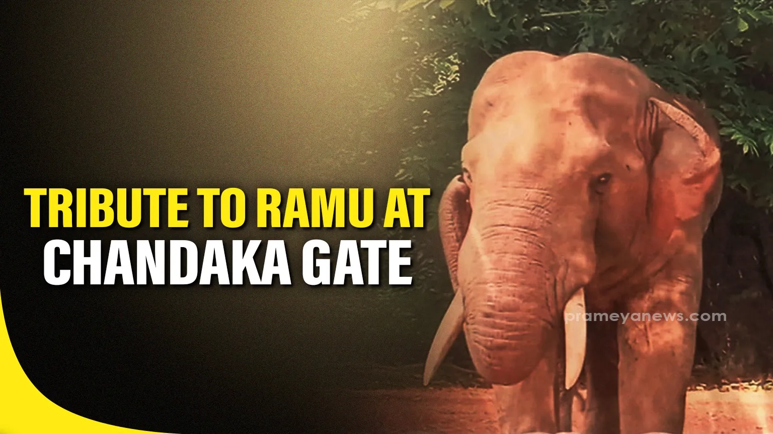 shah-amarinder-meet-on-farmers-issue