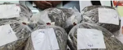 mountaineer-kalpana-dashs-body-reaches-birth-place-dhenkanal