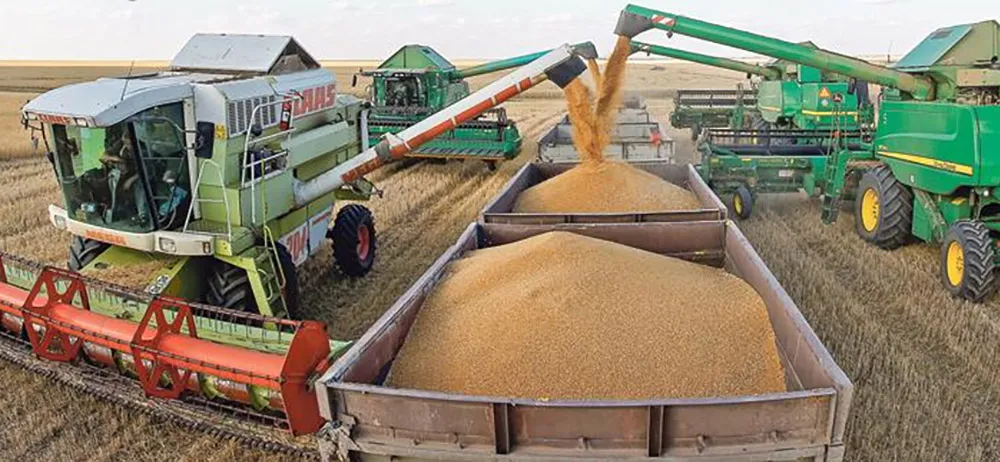 FAO Report: Global cereal production to hit record 3 billion tonnes with rising grain stocks