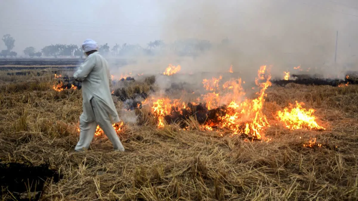 New ISRO Study Reveals How Farmers Dodge Satellites by Time-Shifting Stubble Burning