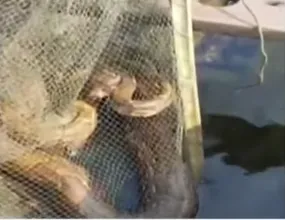 explosions-rock-us-bases-in-syria-reports