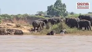 celebrating-international-chess-day