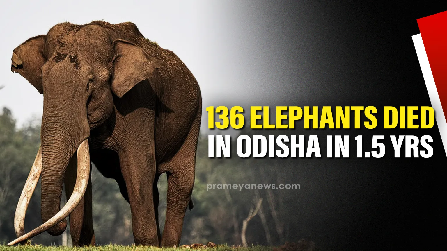 samba-dashami-know-the-significance-date-story--rituals