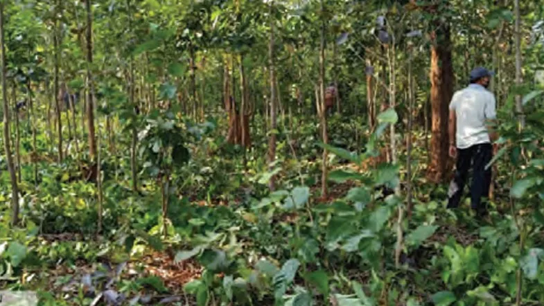 vietnamese-cultural-troupe-enthral-soa-audience-with-cultural-show