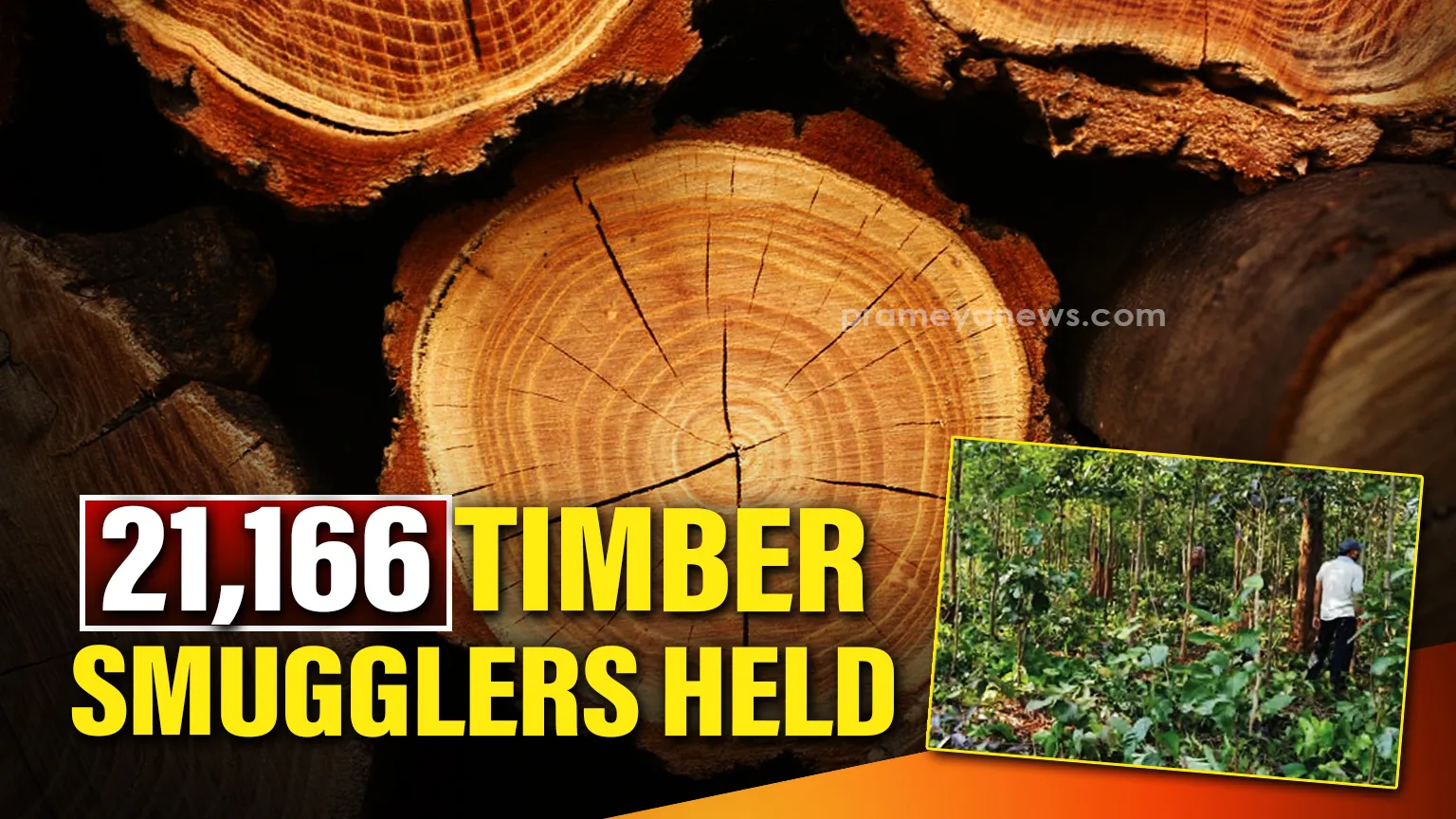 rs-2770-crore-as-damage-assistance-for-titli-hit-dists