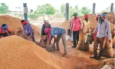 Odisha Government procures 10.50 lakh MT of paddy in Kharif season