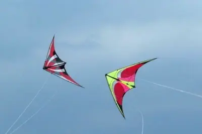 Makar Sankranti Tragedy: Man dies after kite string slits throat in Indore