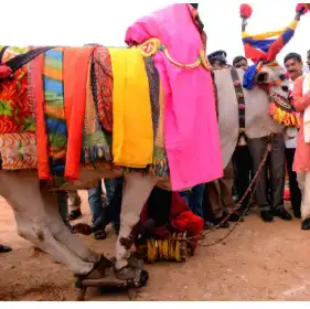 Odisha Governor Praises Sankranti Celebrations at Andhra University College of Engineering