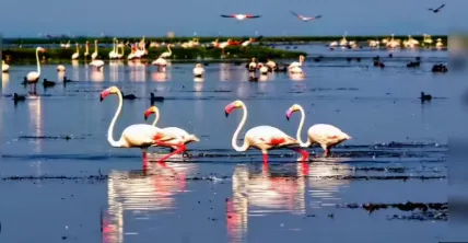 fani-unlikely-to-hit-puri-coast