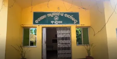 Elephant herd wreaks havoc in Champua Range, crops and homes damaged in Keonjhar