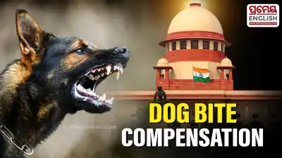 SC warns Centre, States of heavy compensation in dog bite cases