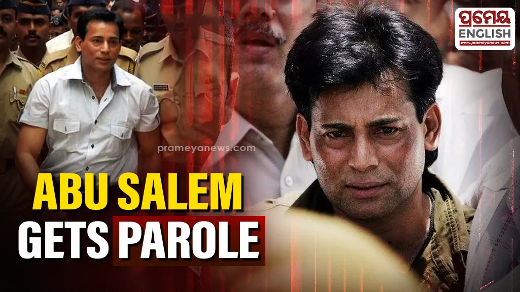 Abu Salem parole