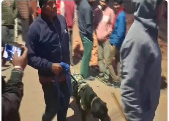 india-power-strives-to-become-preferred-partner-for-state-governments