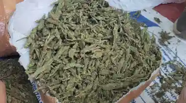 Odisha Police trace ₹10 crore assets from two persons in backward district