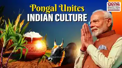 Pongal Festival: Tamil culture not limited to Tamil Nadu but shared culture of entire India, says PM Modi 