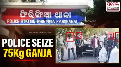 Phiringia police seize 75 kg of ganja, Four arrested