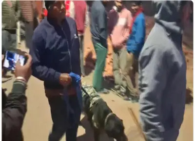 Explosion in Jharkhand’s Hazaribagh claims three lives, investigation underway