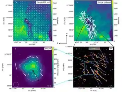 Role of magnetic fields in the birth of a young star critical: IIA Study 