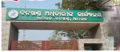 Elderly female elephant dies in Athagarh Forest Range