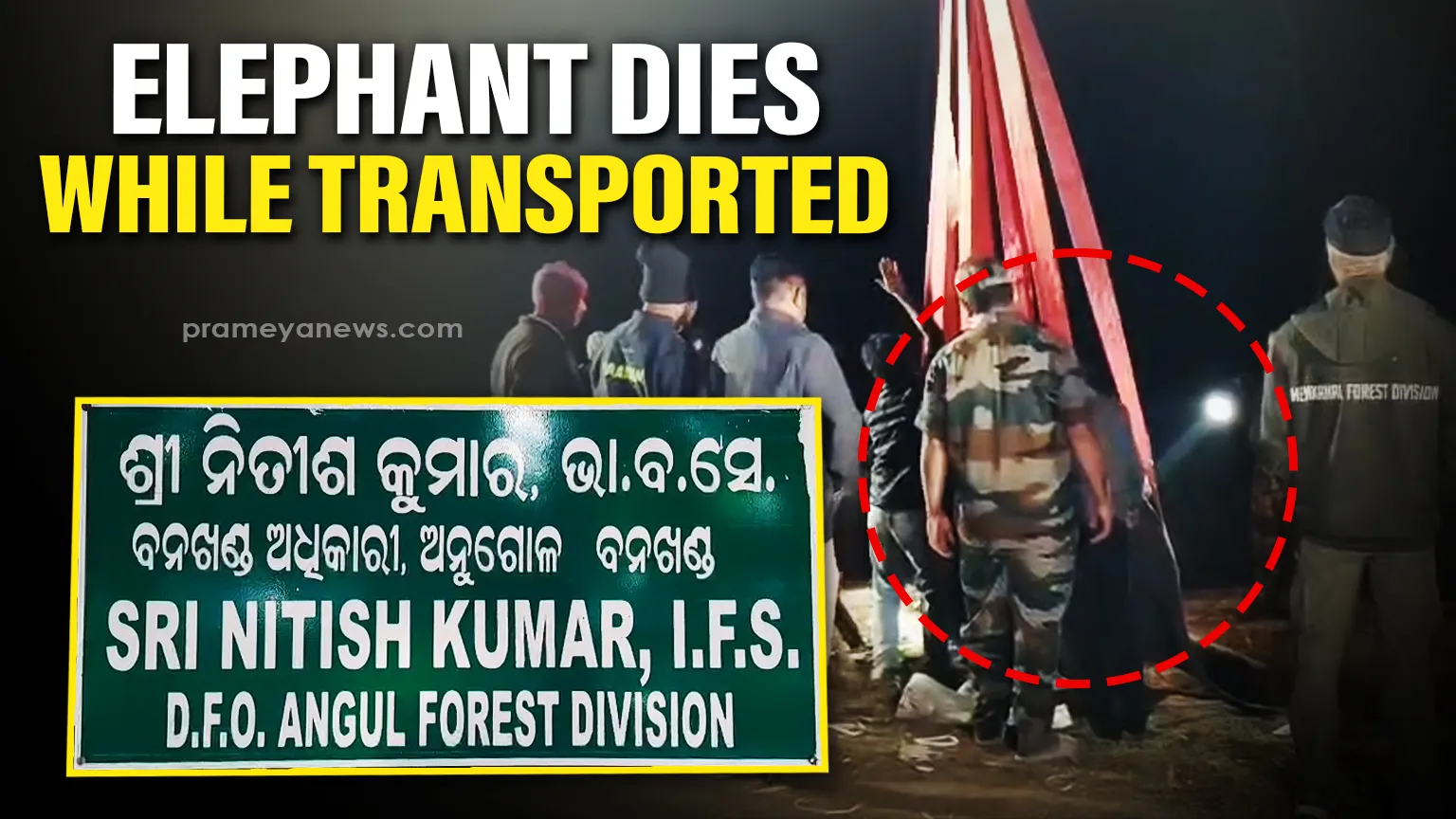 Tragic loss: Injured elephant dies en route to Kapilash Elephant Treatment Center