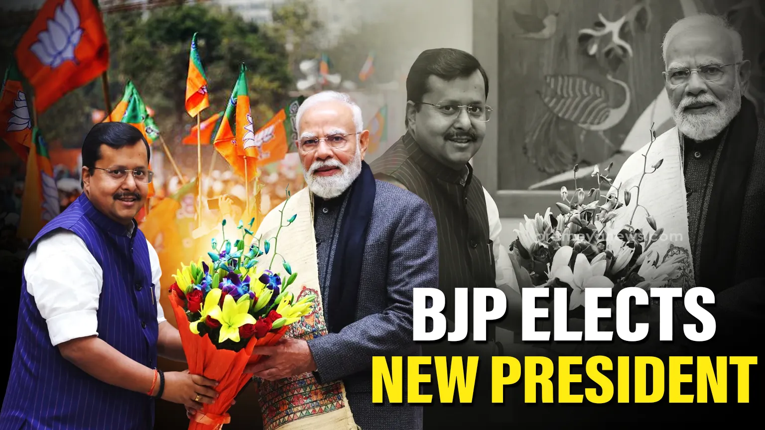 happy-birthday-evelyn-sharma-this-actress-expecting-her-first-baby