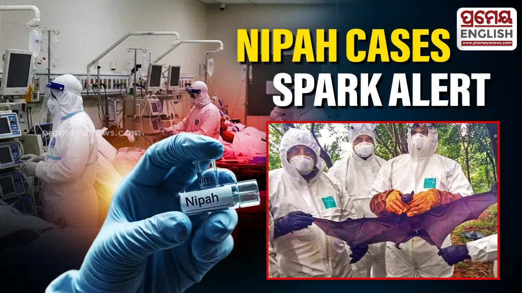 State on alert over Nipah Virus, Health Department calls high-level meeting