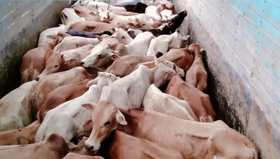 transitioning-with-the-seasons-tips-for-adjusting-your-hair-care-routine