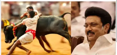 Tamil Nadu CM announces Government job for top Jallikattu Bull-Tamer at Alanganallur event