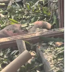 Odisha: Blast in Illegal Firecracker Unit in Cuttack, One Dead