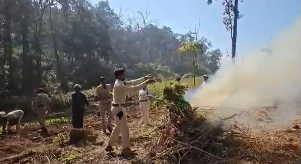 now-antidrug-affidavit-mandatory-for-admission-to-higher-educational-institutions-in-odisha