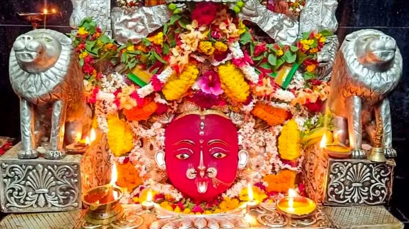 t20-wc-paks-elimination-termed-as-natures-revenge