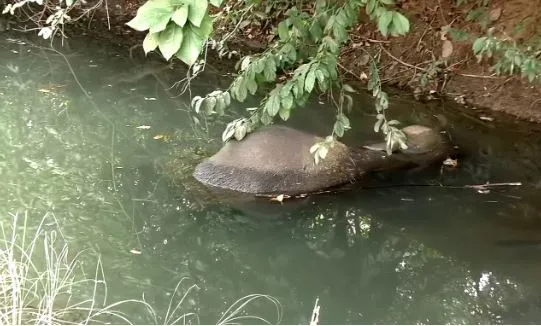 odisha-hosts-odisha4silicon2023