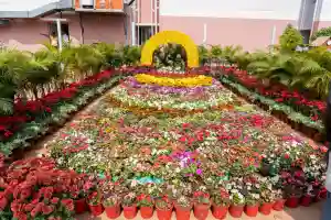 First SOA Flower Festival inaugurated