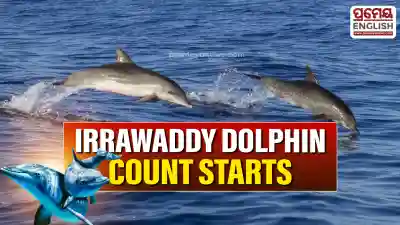 Annual Irrawaddy Dolphin census begins in Chilika Lake
