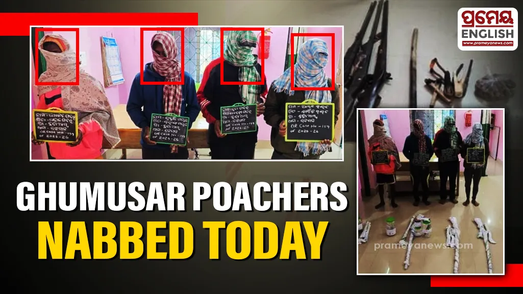 Four poachers arrested for possessing illegal arms and animal parts in Ghumusar Forest Area

