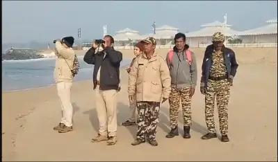Dolphin census conducted along Konark and Astarang Coasts