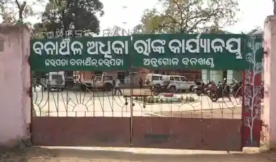 Angul Forest Division launches “Jibedaya Abhiyan” after elephant killed by bomb