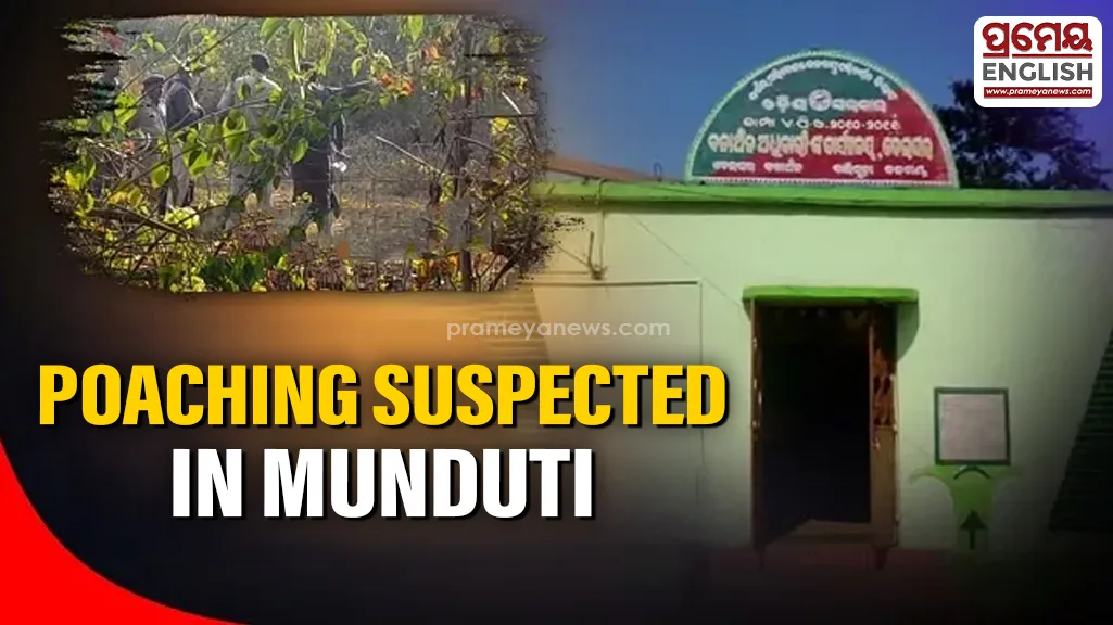 Elephant found dead in Munduti forest; suspected poaching and illegal burial linked to incident

