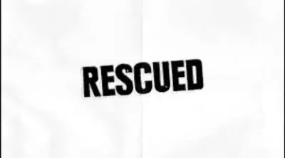 Four missing boys rescued from Forest in Deogarh