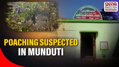 Elephant found dead in Munduti forest; suspected poaching and illegal burial linked to incident