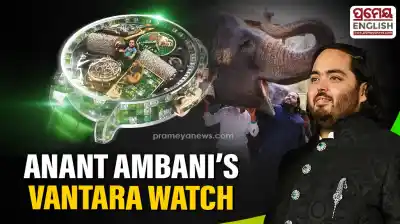 Luxury brand Jacob & Co pays tribute to Anant Ambani Vantara with stunning green camo watch worth millions