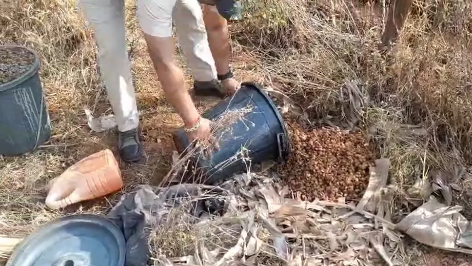 keralas-black-sand-qualifies-for-oscars