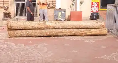 Preparations begin for Rath Yatra with ritual worship of chariot Wood on Shree Panchami