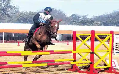 Odisha’s horses to feature in Republic Day Parade in New Delhi
