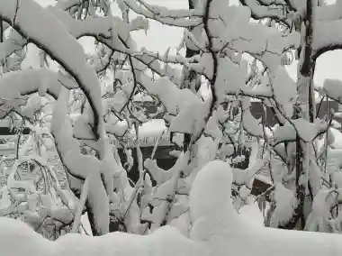 IMD forecasts more snow and rainfall in Himachal Pradesh